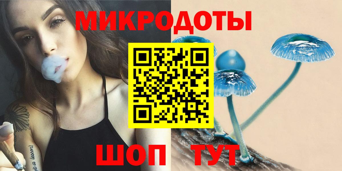 Шелехов  Псилоцибиновые грибы мицелий  Псилоцибиновые грибы Psilocybe  Вход с VPN 
